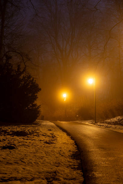istock Empty parkway at foggy night in winter. 2197473975