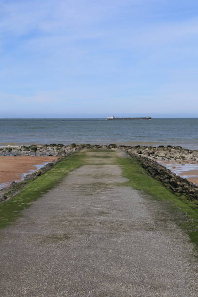 istock Spring on the North Sea coast in Zeeland 2197473989