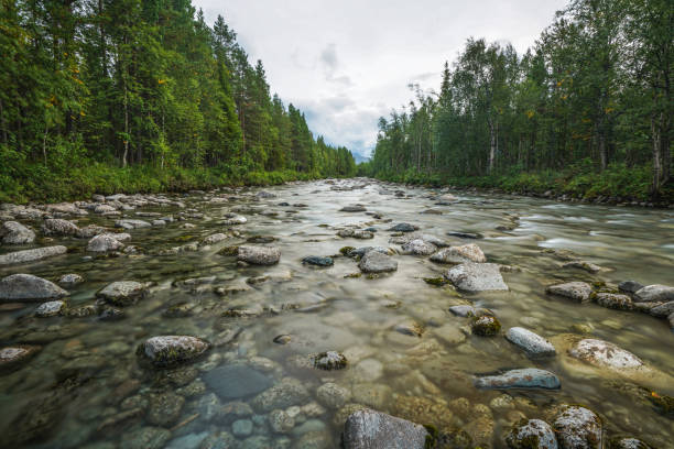 istock Rocky River Flowing Through a Forest Landscape Under a Sunset Sky 2197475145