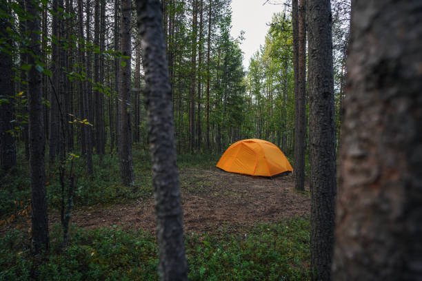 Man is standing next to the tent, lake in the background