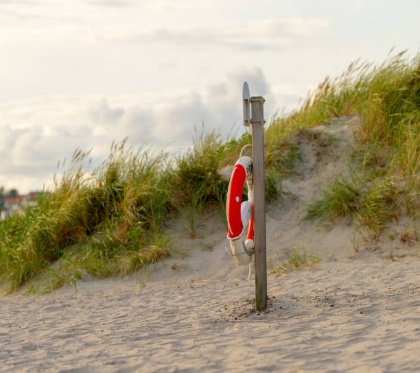 lifebuoy on a sandy beach with grassy dunes in golden light..