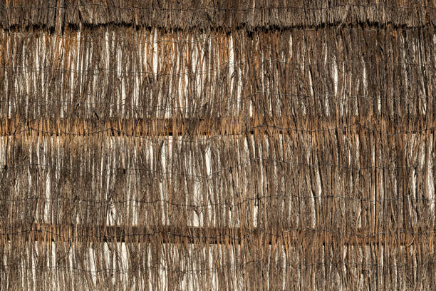Natural woven rattan seamless textured