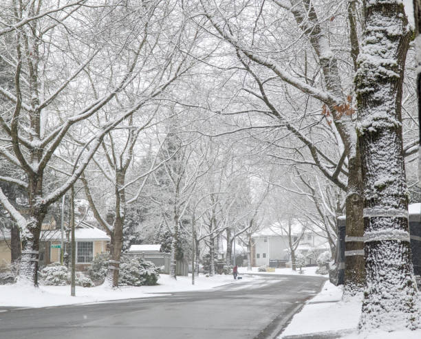 Snowy path through the park