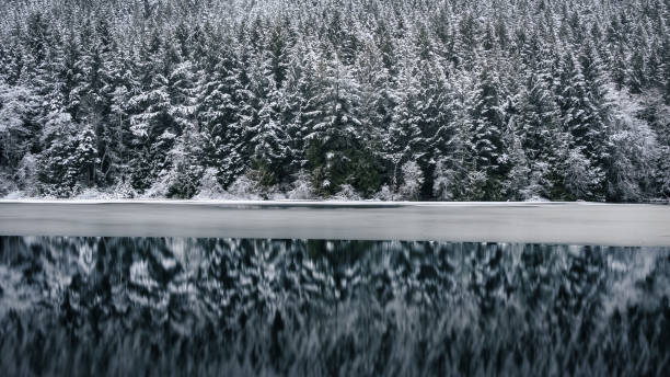 istock Snowfall At Durrance Lake 2197493679