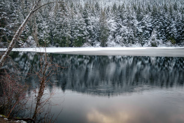 istock Snowfall At Durrance Lake 2197493910