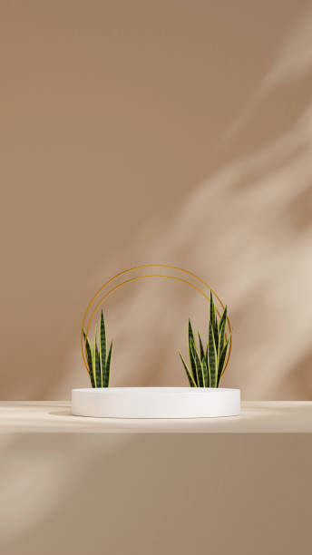 istock mockup space white color curved cylinder podium in portrait wavy wall, 3d rendering 2197496027