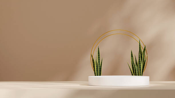 istock mockup space white color curved cylinder podium in landscape wavy wall, 3d rendering 2197496031