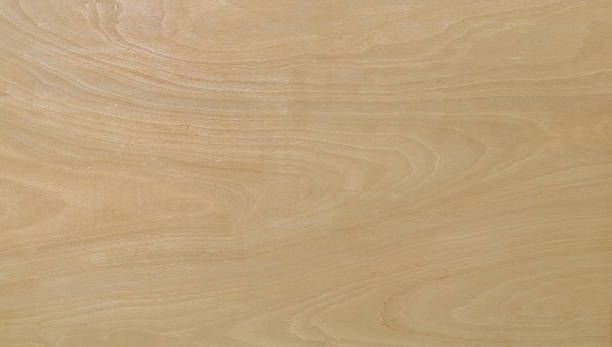 istock Natural wood texture on a Ssoft beige background 2197497451