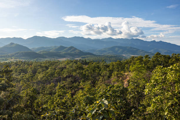 istock Panoramic View of Lush Green Forest and Distant Mountains Under a Blue Sky 2197500527