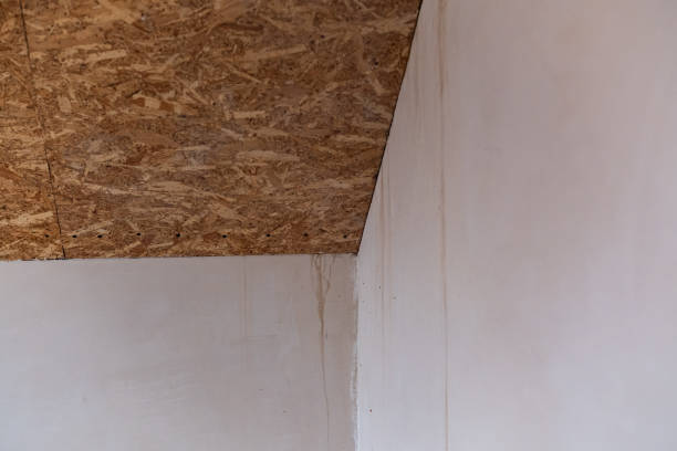 istock Water damage on wall and ceiling in a residential room during repairs 2197503734