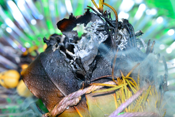 istock Burning Sage Ritual: Spiritual Cleansing and Purification 2197505773