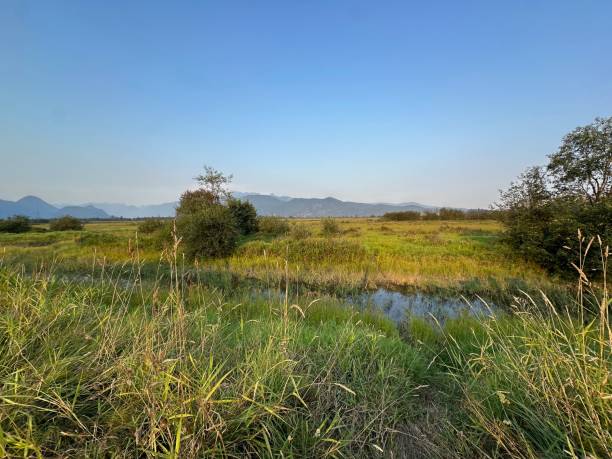 istock Regional Parks in my hood. 2197507767