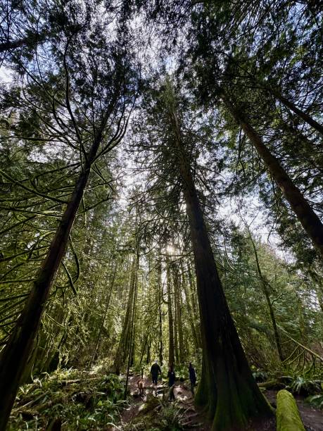 istock Regional Parks in my hood. 2197507789