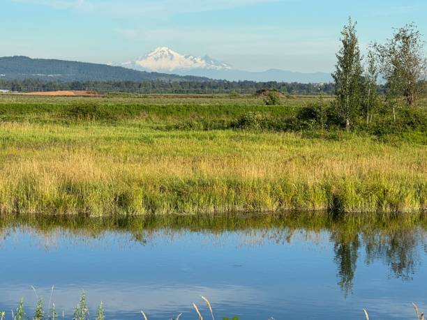 istock Regional Parks in my hood. 2197507946