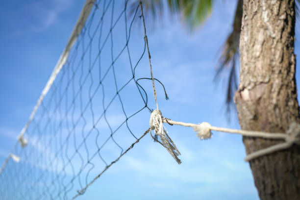 Beach volleyball net tied to a tree, close up view. Recreation or vacation by the beach concept.