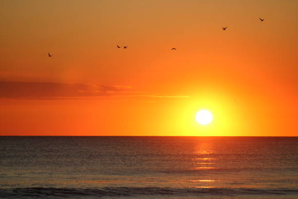 Beautiful colorful sunrise at the beach