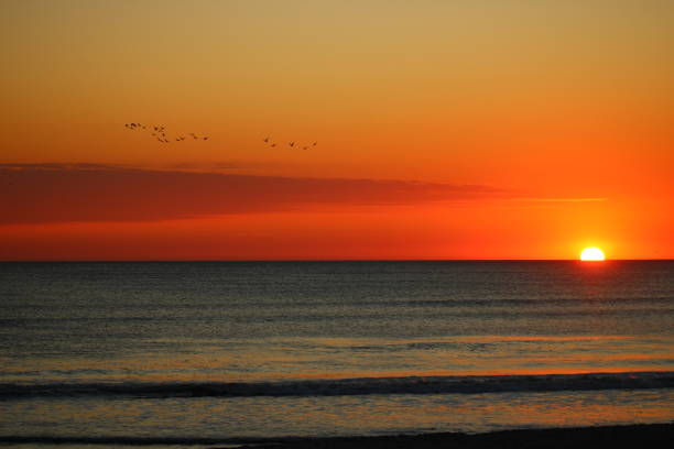 istock Morning sunrise at the beach in Florida 2197520879