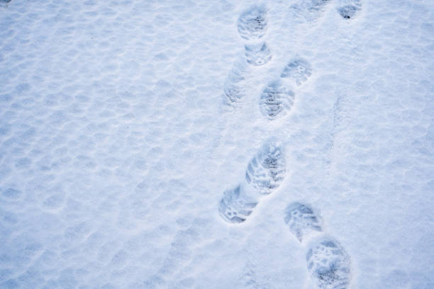 istock foot print on the snow on the ground 2197522319