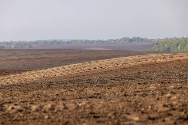 istock fertile soil in spring during the preparation for sowing 2197533856