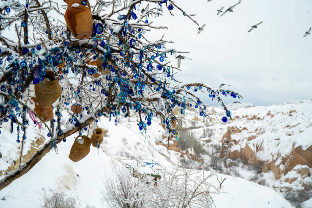 Winter landscape with frozen lake and birds, reeds covered with hoarfrost, misty weather