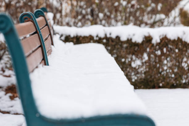 Park bench covered with snow and isolated on snow background.