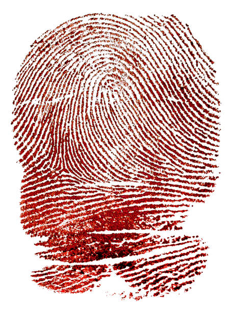 istock Bloody fingerprint pattern isolated on a white background. Red ink thumbprint. 2197542787