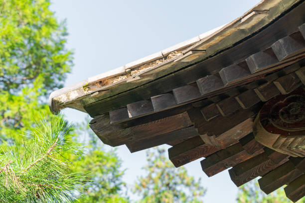 Traditional Chinese wooden architecture, pavilion structure