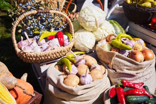 istock Bags and baskets are filled with various vegetables. Autumn harvest 2197544269