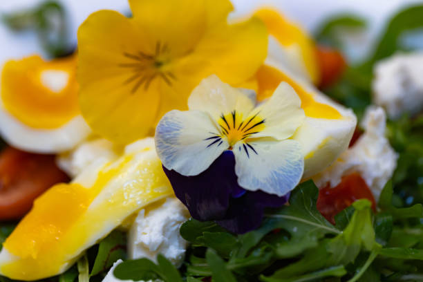 Closeup of vegetable salad with flowers for design purpose