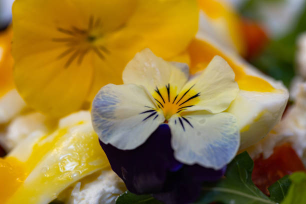 Closeup of vegetable salad with flowers for design purpose