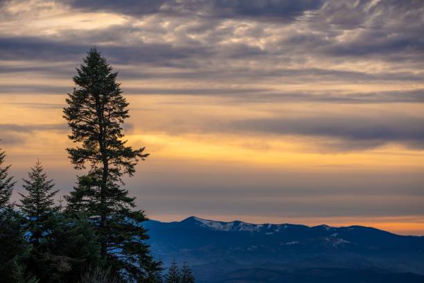 istock Serene landscape with tree silhouette and sunset sky 2197550424
