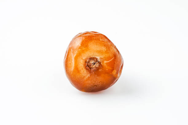 istock Dates fruit sukari or kurma sukari, isolated on white background 2197551008