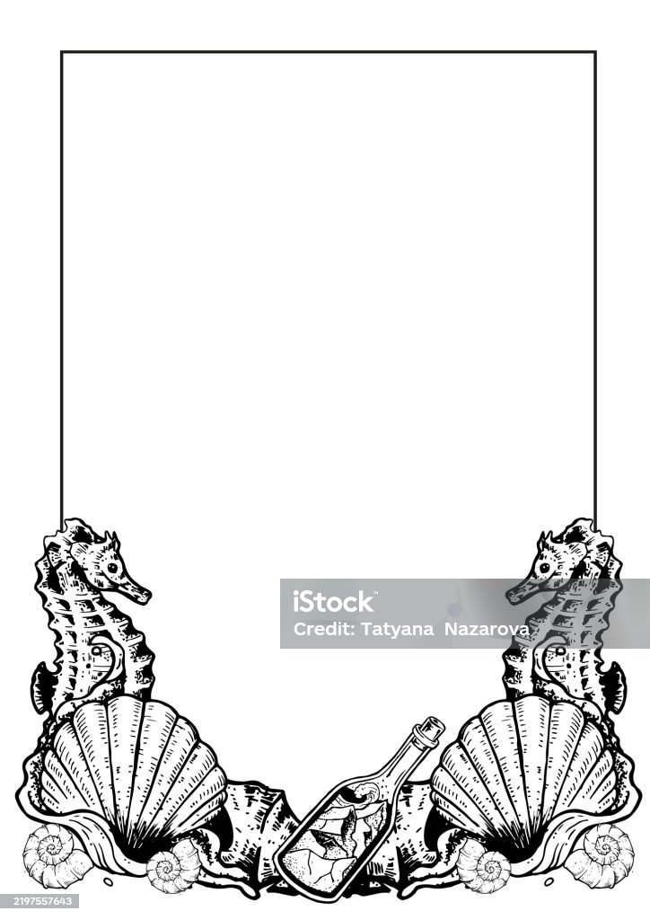 Shell Frame Drawing Sea Vector Sketch Shell Frame Stock Illustration - Download Image Now ...