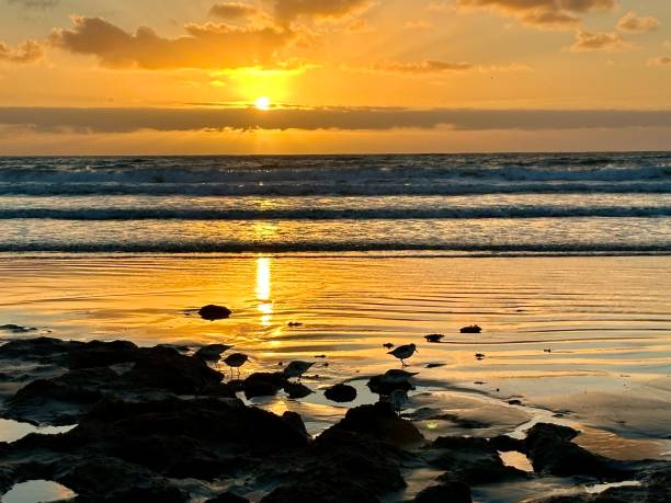 istock Sunrise en El Medano 2197560067