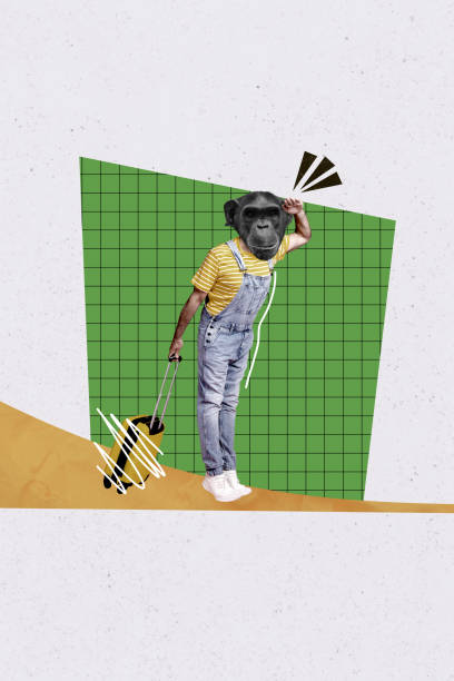 Vertical image collage of man instead head monkey face look out hold suitcase journey leisure vacation isolated on painted background