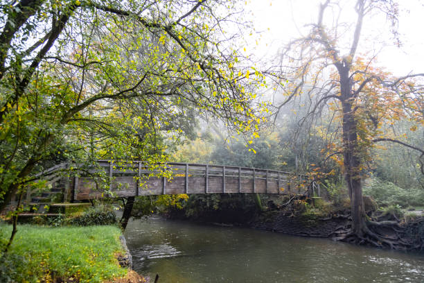 Wooden footbridge near Dorking Surrey England
