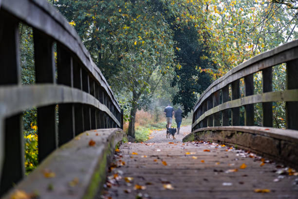 istock Wooden footbridge 2197566116