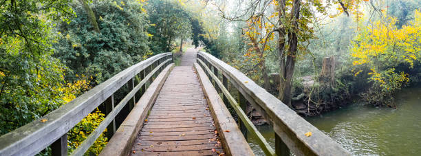 istock Wooden footbridge 2197566228
