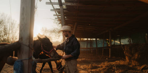 istock Man at the horse ranch 2197568285