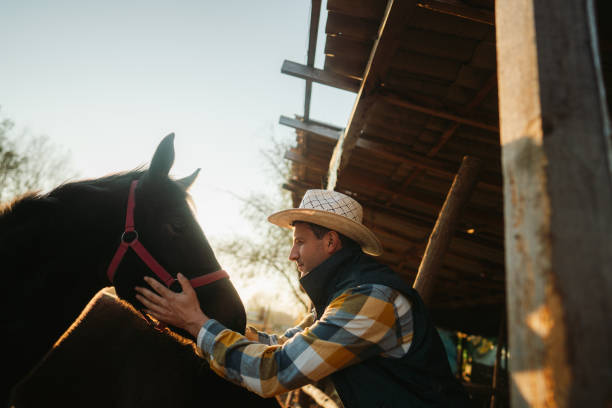 istock Man at the horse ranch 2197568286