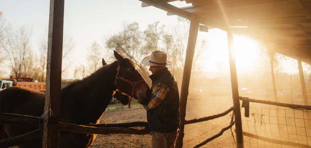 Man at the horse ranch