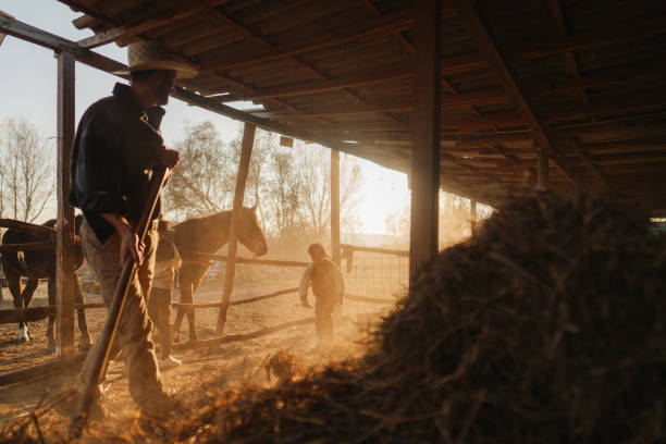 istock My dad is the best cowboy 2197568299