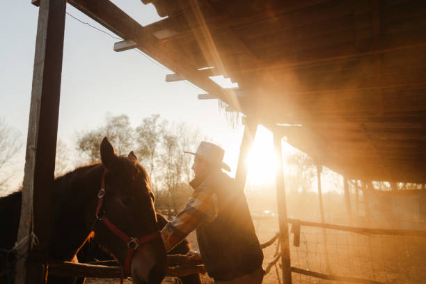 istock Man at the horse ranch 2197568304