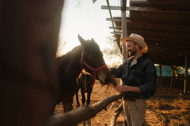 istock Man at the horse ranch 2197568316
