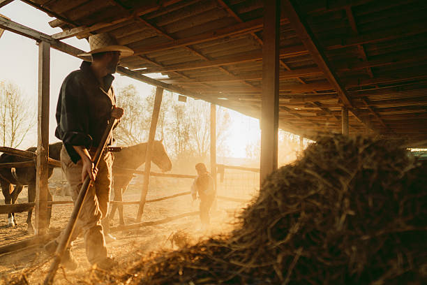 istock My dad is the best cowboy 2197568330