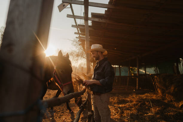 istock Man at the horse ranch 2197568332
