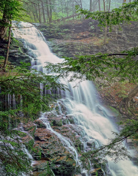 istock Ricketts Glen State Park, Pennsylvania state park, 2197569171