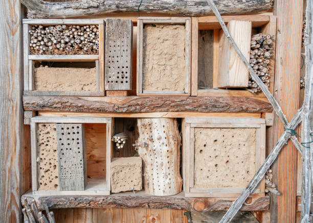 istock Insect houses made of different materials: clay 2197572788