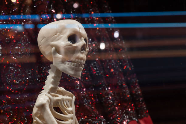 A detailed skeleton model in a reflective display, set against a sparkling, glittery red and black background