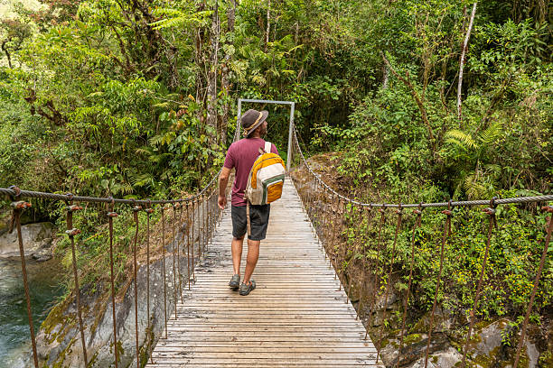istock Traveler on Scenic Jungle Bridge Admiring River View 2197575118